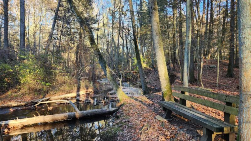 Wepawaug Trails - Orange, CT