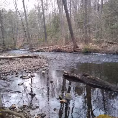 Wepawaug Trails - Orange, CT