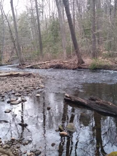 Wepawaug Trails - Orange, CT