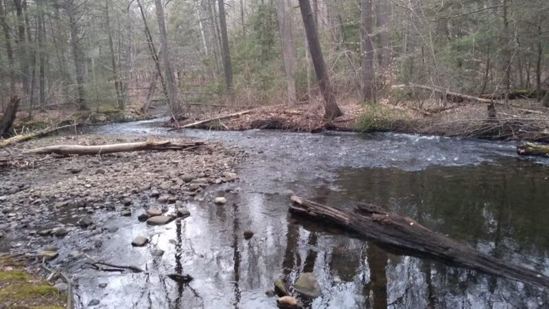 Wepawaug Trails - Orange, CT