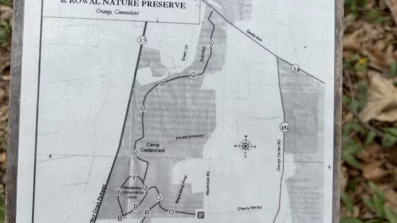 Wepawaug Trails - Orange, CT