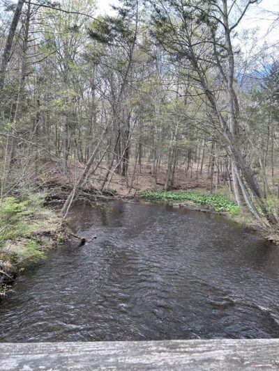 Wepawaug Trails - Orange, CT