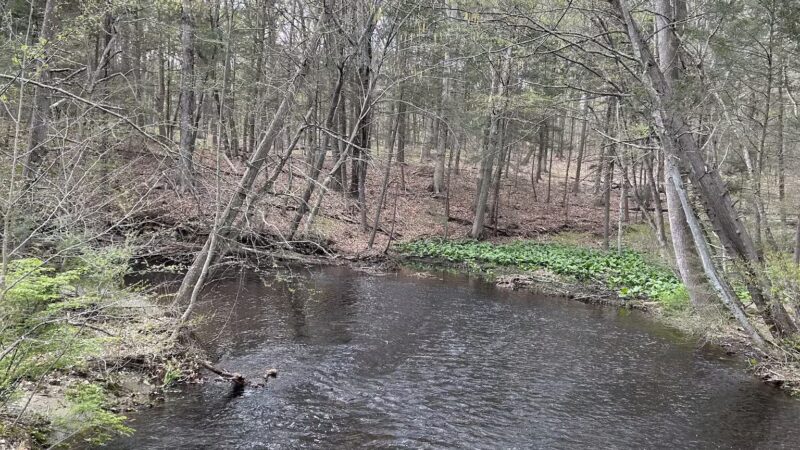 Wepawaug Trails - Orange, CT