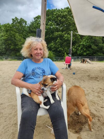 North Quabbin Dog Park - Orange, MA