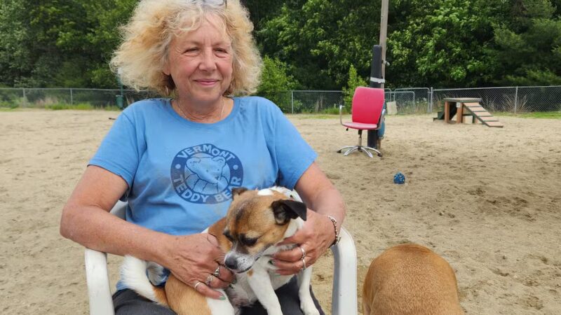North Quabbin Dog Park - Orange, MA
