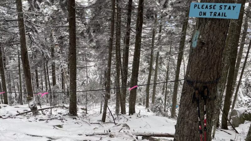 Mount Cube Trailhead - Orford, NH