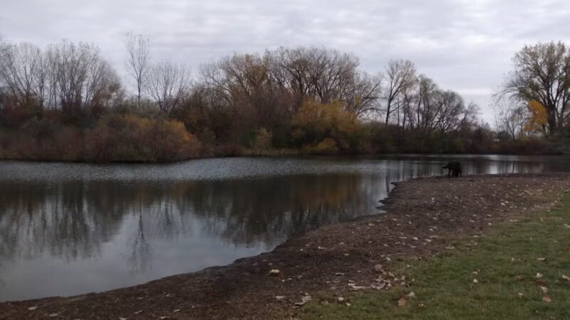 Lake Chase Dog Park - Owatonna, MN