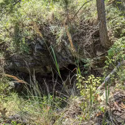 Choate Mine Trail - Owings Mills, MD