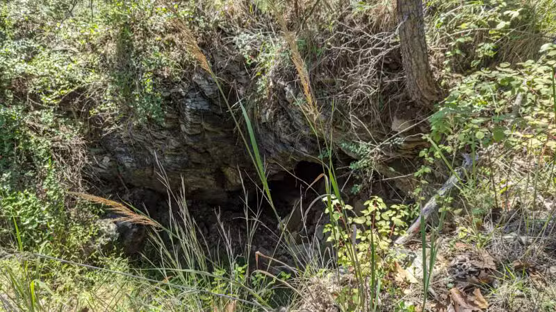 Choate Mine Trail - Owings Mills, MD