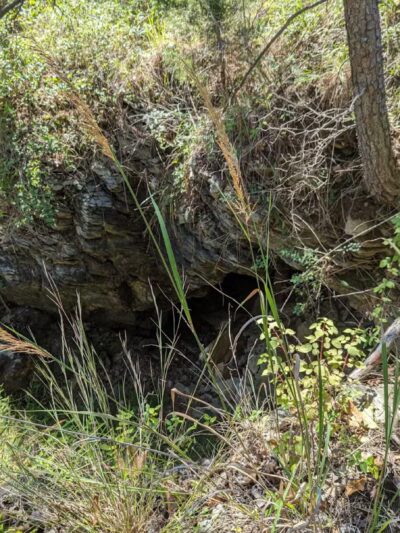 Choate Mine Trail - Owings Mills, MD