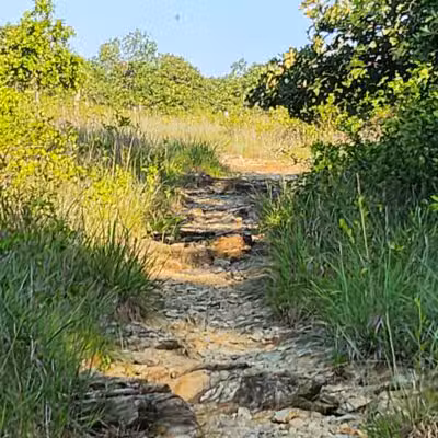 Choate Mine Trail - Owings Mills, MD