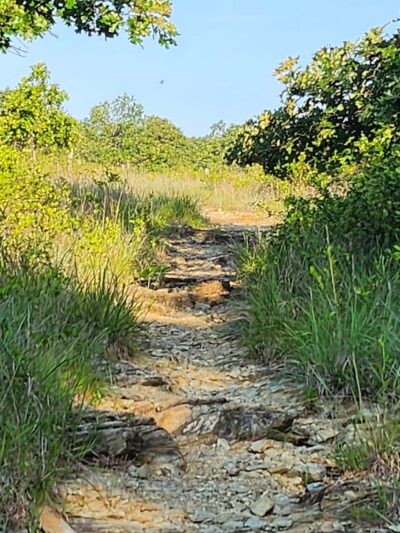 Choate Mine Trail - Owings Mills, MD
