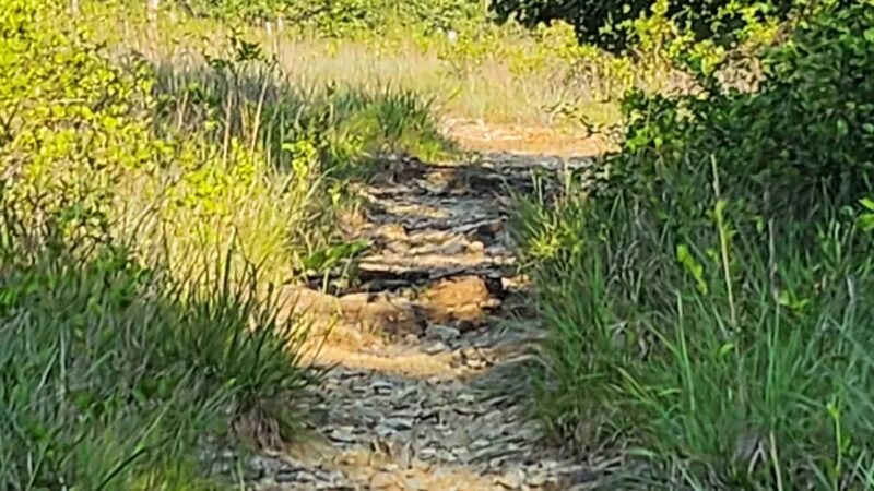 Choate Mine Trail - Owings Mills, MD