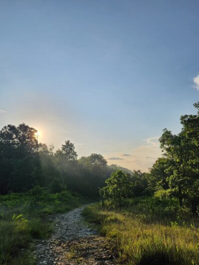 Choate Mine Trail - Owings Mills, MD