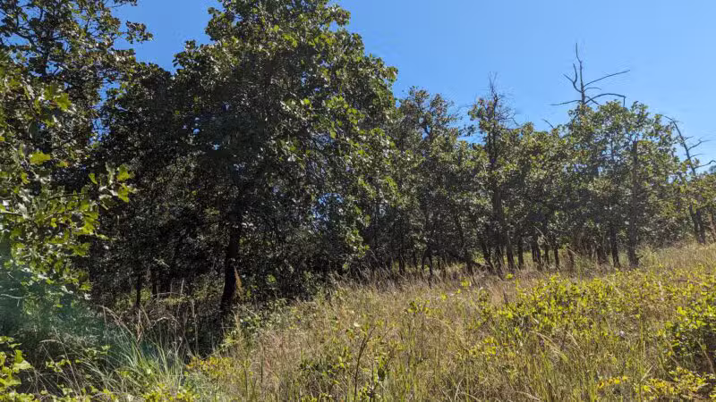 Choate Mine Trail - Owings Mills, MD