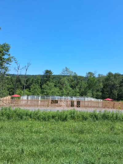 Honey Bee Maze - Oxford, NY