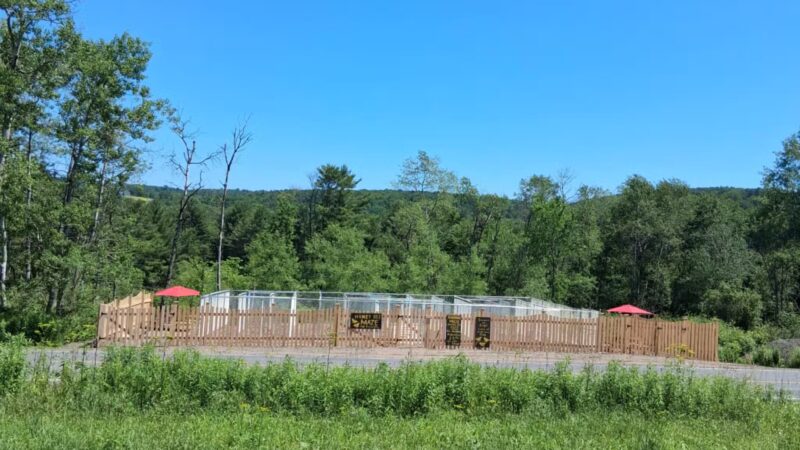 Honey Bee Maze - Oxford, NY