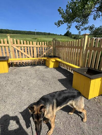 Honey Bee Maze - Oxford, NY