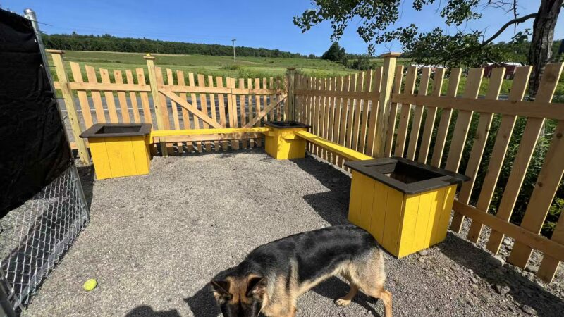 Honey Bee Maze - Oxford, NY
