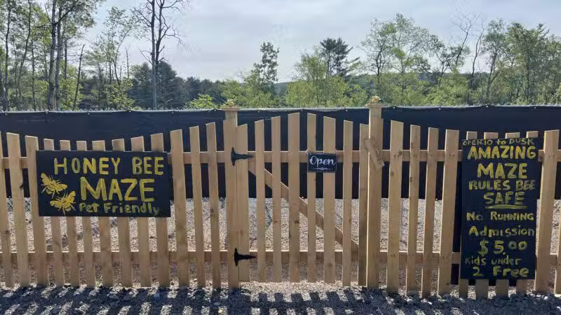 Honey Bee Maze - Oxford, NY