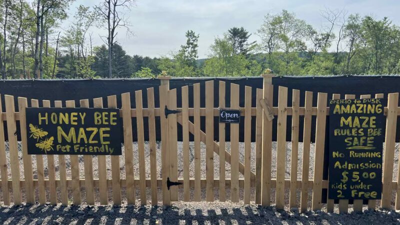 Honey Bee Maze - Oxford, NY