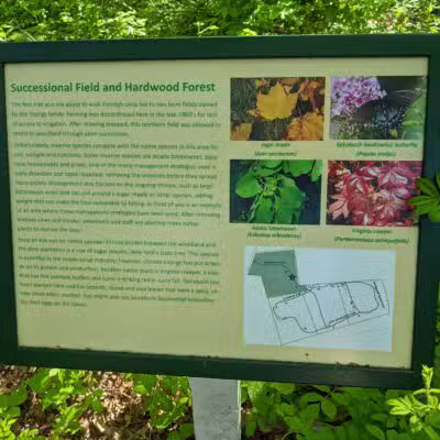 Hope Goddard Iselin Preserve - Oyster Bay, NY