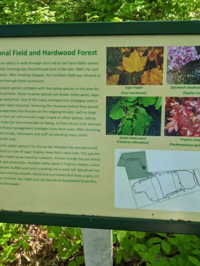 Hope Goddard Iselin Preserve - Oyster Bay, NY