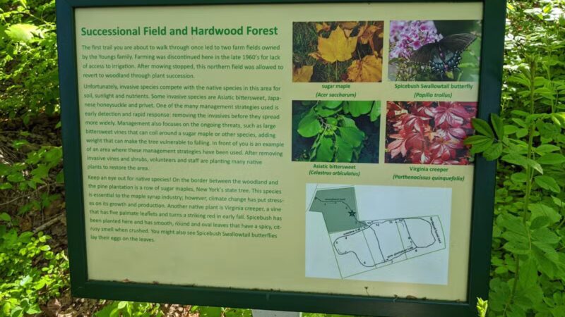 Hope Goddard Iselin Preserve - Oyster Bay, NY