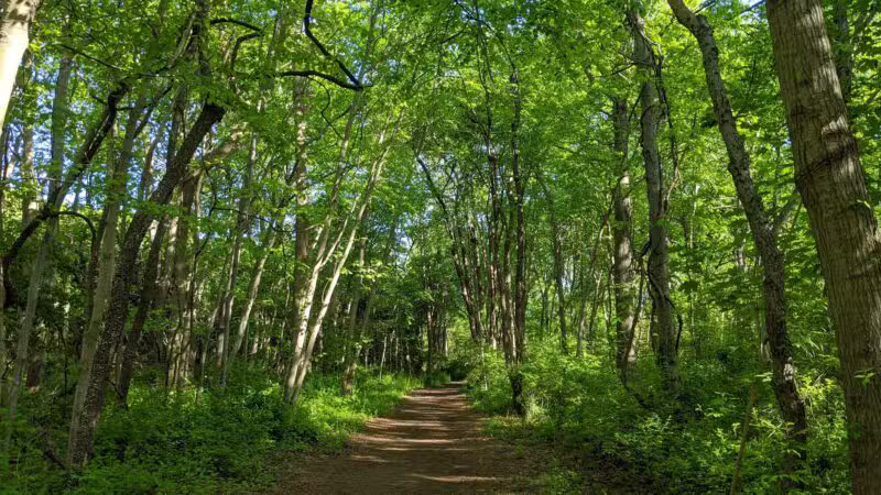 Hope Goddard Iselin Preserve - Oyster Bay, NY
