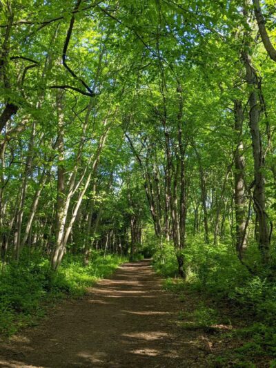 Hope Goddard Iselin Preserve - Oyster Bay, NY