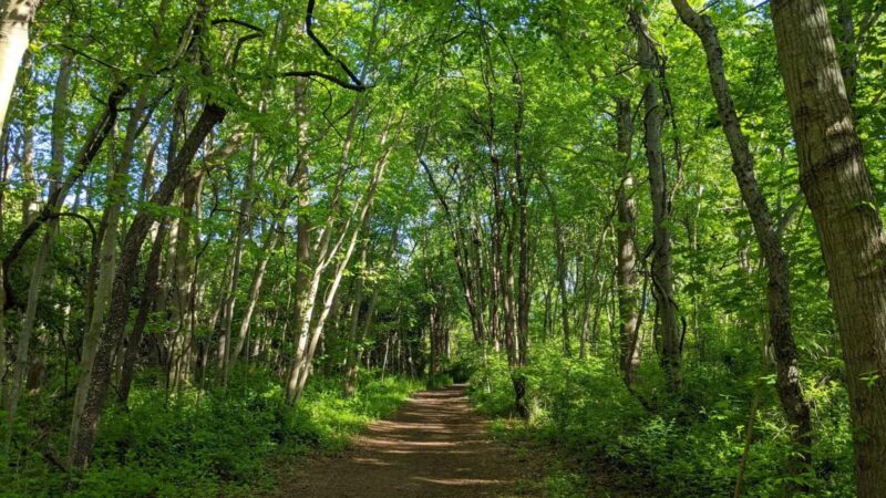 Hope Goddard Iselin Preserve - Oyster Bay, NY