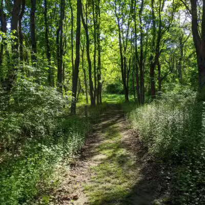 Hope Goddard Iselin Preserve - Oyster Bay, NY