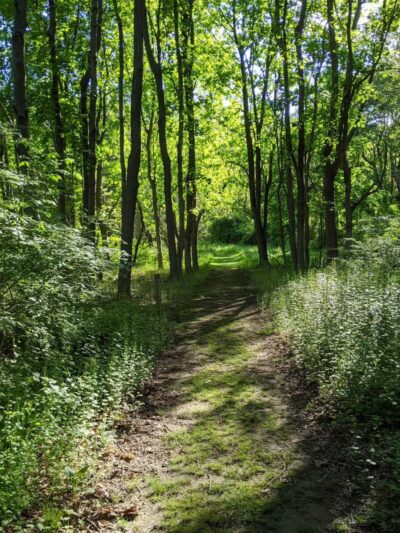 Hope Goddard Iselin Preserve - Oyster Bay, NY