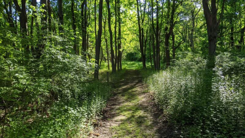 Hope Goddard Iselin Preserve - Oyster Bay, NY