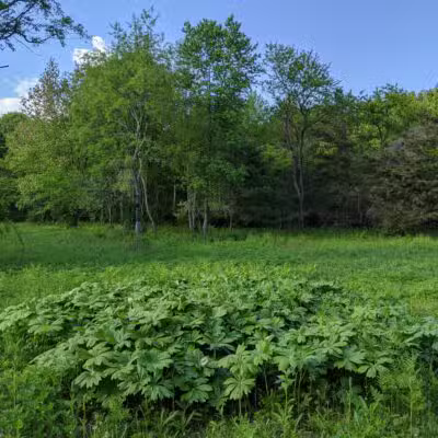 Hope Goddard Iselin Preserve - Oyster Bay, NY