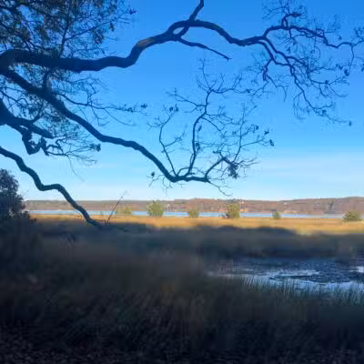 Nature Trail - Oyster Bay, NY