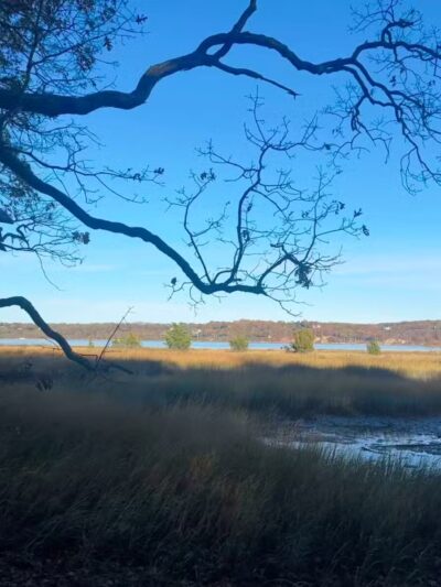 Nature Trail - Oyster Bay, NY