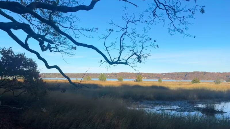 Nature Trail - Oyster Bay, NY