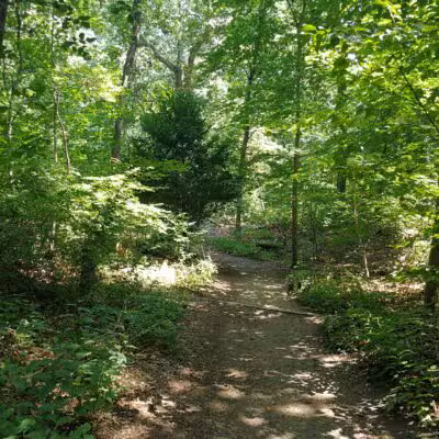 Nature Trail - Oyster Bay, NY