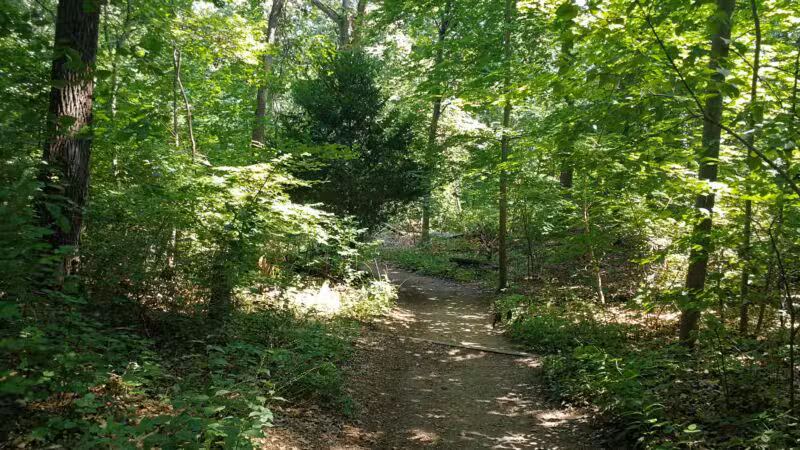 Nature Trail - Oyster Bay, NY