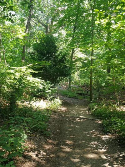 Nature Trail - Oyster Bay, NY