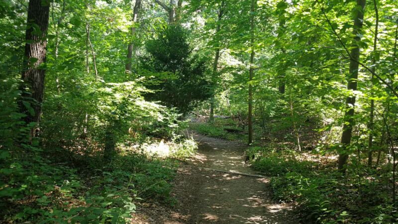 Nature Trail - Oyster Bay, NY