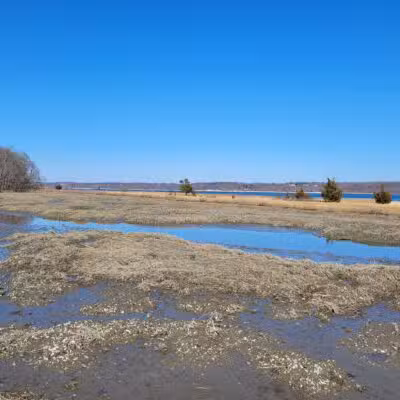 Nature Trail - Oyster Bay, NY