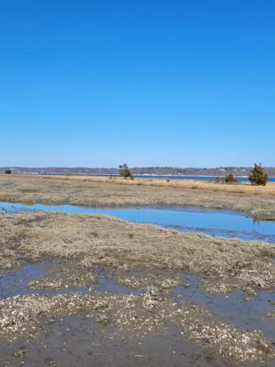Nature Trail - Oyster Bay, NY
