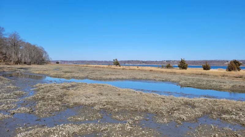 Nature Trail - Oyster Bay, NY
