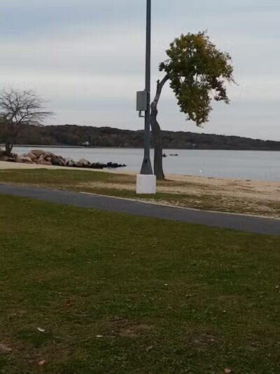 Theodore Roosevelt Memorial Park - Oyster Bay, NY