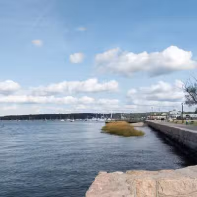 Theodore Roosevelt Memorial Park - Oyster Bay, NY