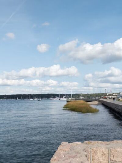 Theodore Roosevelt Memorial Park - Oyster Bay, NY