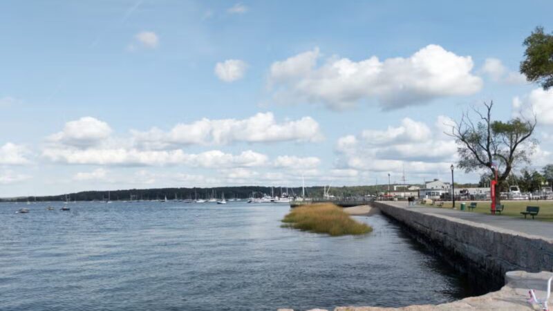 Theodore Roosevelt Memorial Park - Oyster Bay, NY