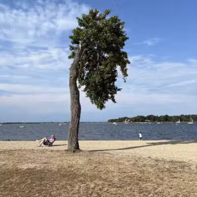 Theodore Roosevelt Memorial Park Beach - Oyster Bay, NY